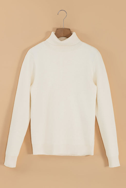 'Romilda' Turtleneck Knit Sweater - Celes Fashion